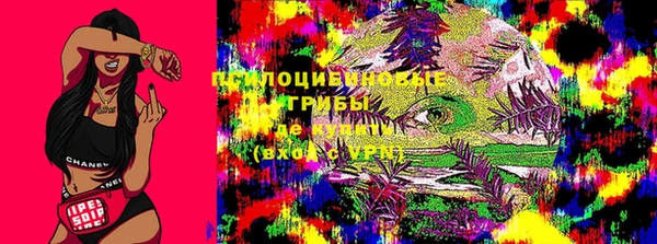 молекула духа Алексеевка