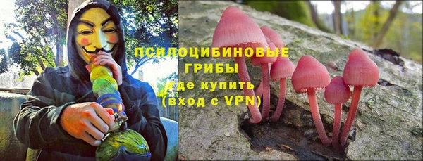 соль курить ск Алзамай