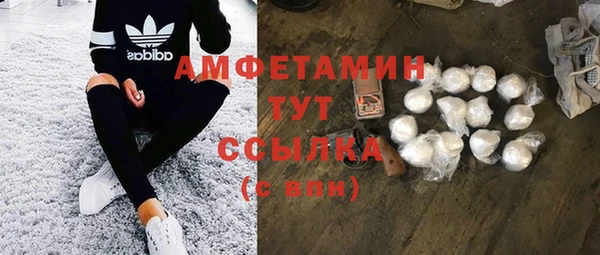 молекула духа Алексеевка