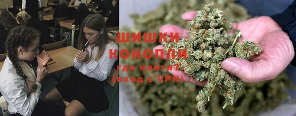 молекула духа Алексеевка